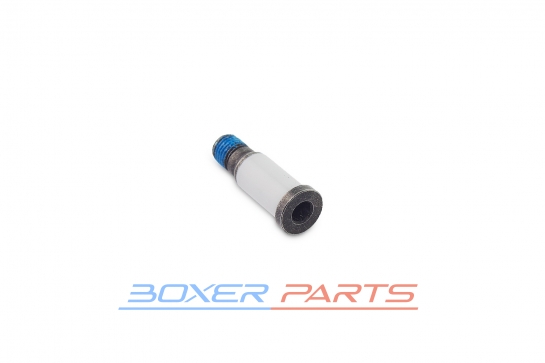 clutch and brake lever bearing bolt for BMW motorcycles