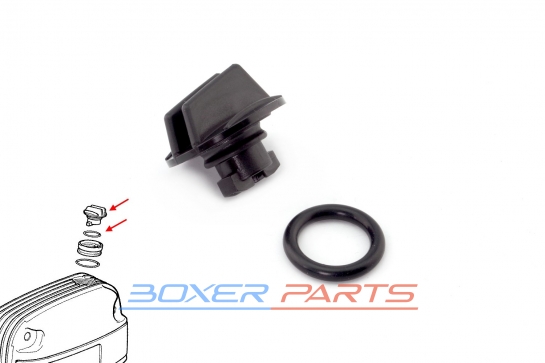 o-ring + oil plug BMW R1150R1100 R850