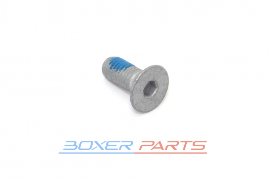 rear brake disc mounting bolt 